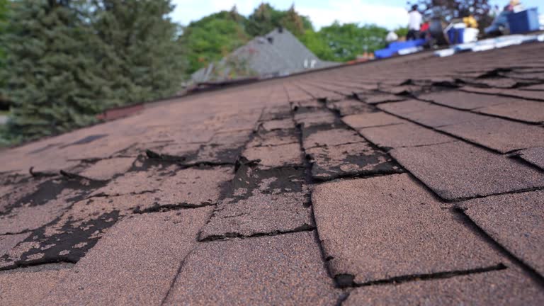 Best Steel Roofing  in Swannanoa, NC